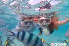 ดำน้ำแสมสาร-12