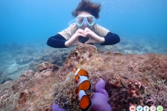 ดำน้ำแสมสาร-13-2