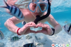 ดำน้ำแสมสาร-14-4-1