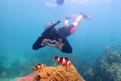 สำเนาของ ดีไซน์ที่ไม่มีชื่อ - 3