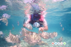 ดำน้ำแสมสาร-5-6-1