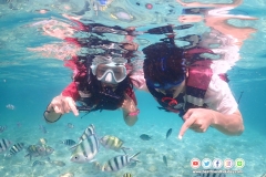 ดำน้ำแสมสาร-5-7-1