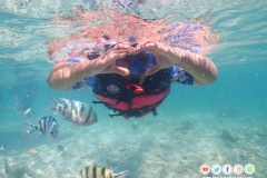 ดำน้ำแสมสาร-5-7