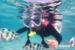 ดำน้ำแสมสาร-8-3